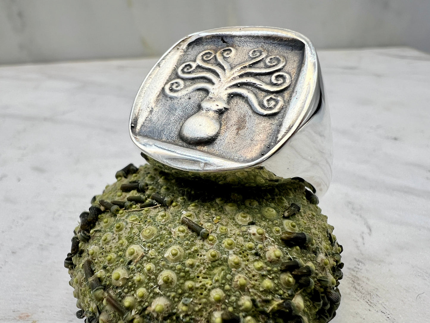 Chevalière Octopus Argent 925
